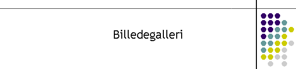 Billedegalleri